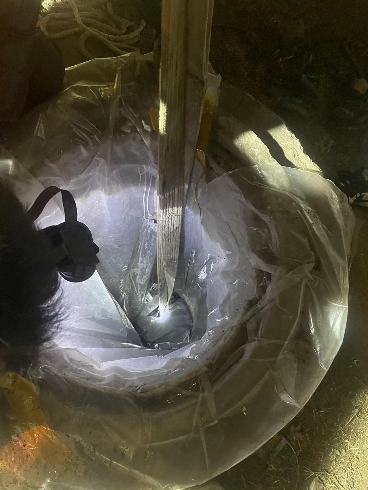 2023.3 山东青岛 DN1650 65米