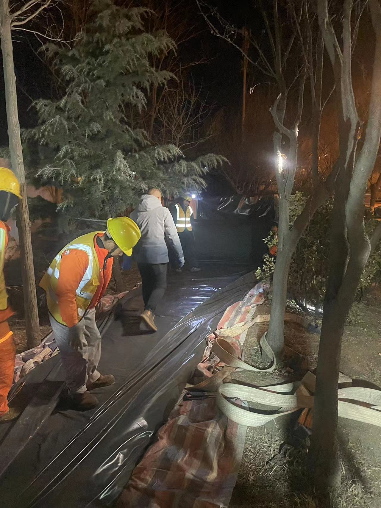 2023.3 山东青岛 DN1650 65米